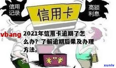 舟山信用卡逾期攻略：最全面处理办法详解，让你轻松应对逾期问题