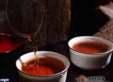 新 深度解析：多年的普洱茶究竟如何泡才能释放其真正的风味？