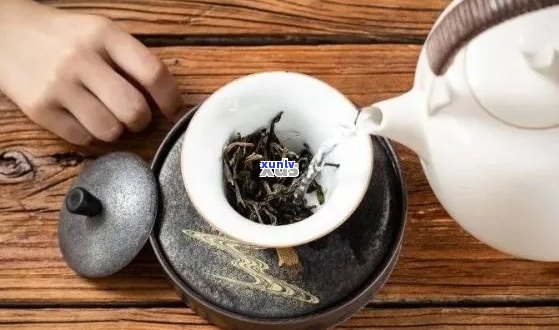 新 深度解析：多年的普洱茶究竟如何泡才能释放其真正的风味？