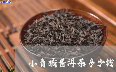 小青干皮普洱茶价格，口感醇厚，功效显著，是一款值得推荐的好茶。