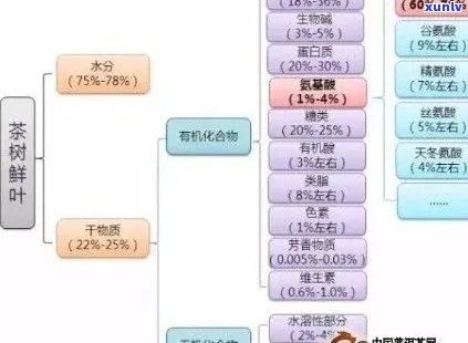 普洱茶中的成分：生石灰的潜在存在与其品质关系探究