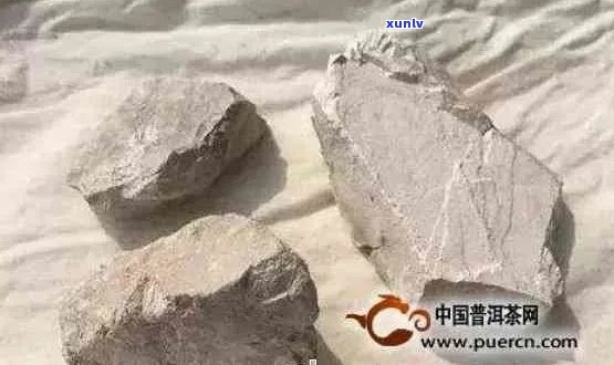 普洱茶中的成分：生石灰的潜在存在与其品质关系探究