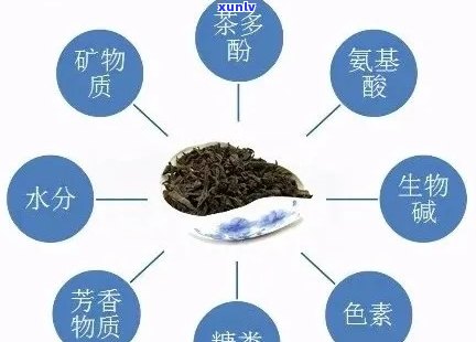 普洱茶中的成分：生石灰的潜在存在与其品质关系探究