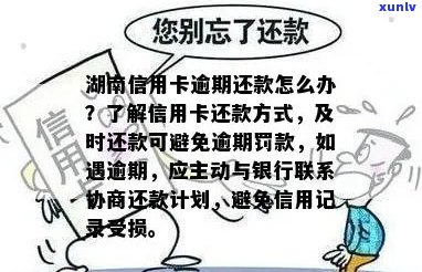 湖南信用卡逾期还款策略，10万元债务如何解决？