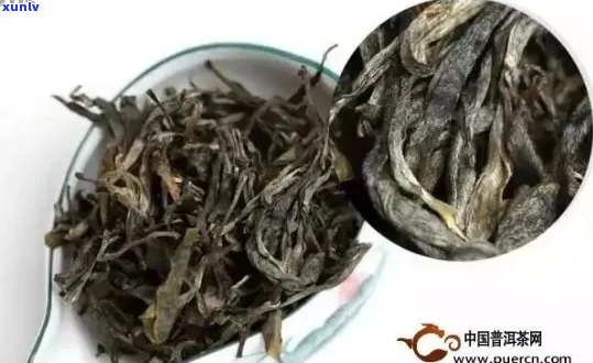 真假普洱茶辨别 *** ：如何确保饮用无安全？