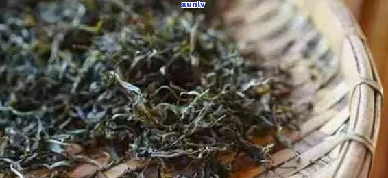 云南绿色普洱茶与其它茶叶的对比：哪个更胜一筹？