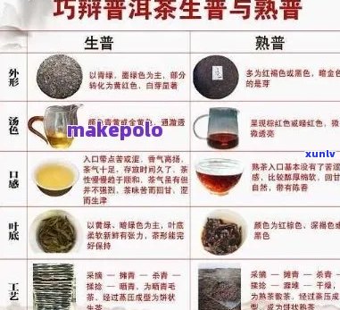 云南绿色普洱茶与其它茶叶的对比：哪个更胜一筹？