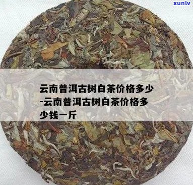 普洱白茶价格多少钱一斤：云南最新普洱白茶价格查询