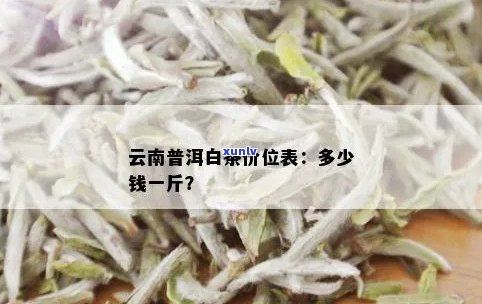 普洱白茶价格多少钱一斤：云南最新普洱白茶价格查询