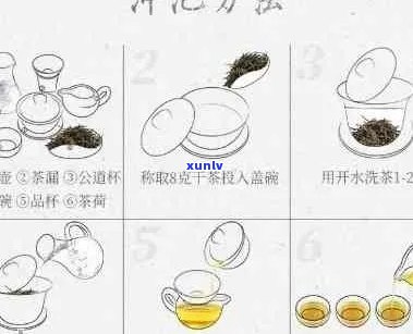 用茶壶泡普洱茶的冲泡 *** 全解：步骤、工具和使用技巧