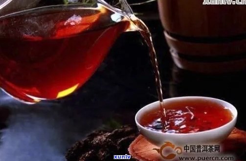 水壶泡普洱茶可以吗