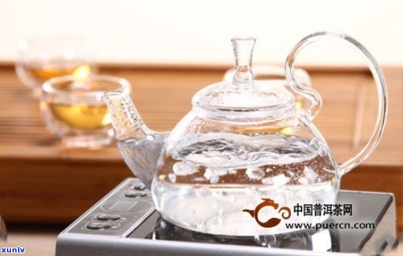 水壶泡普洱茶可以吗