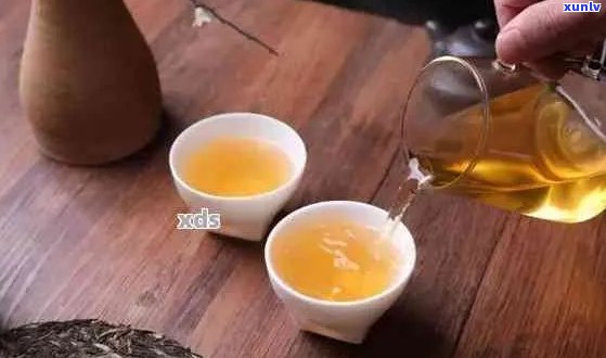 普洱茶与粗壶：搭配？如何正确冲泡和保养？