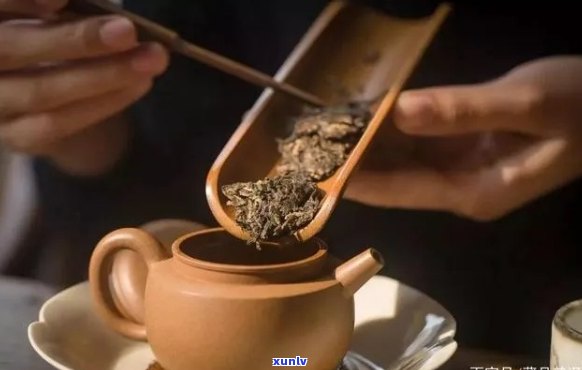 普洱茶与粗壶：搭配？如何正确冲泡和保养？