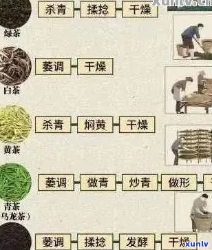 探索氏普洱茶的独特之处：品种、 *** 工艺和口感全方位解析