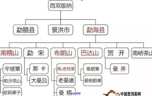 探索氏普洱茶的独特之处：品种、 *** 工艺和口感全方位解析