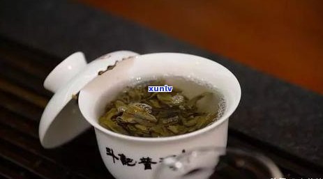 普洱茶：品种、 *** 工艺、功效与泡法全方位解析