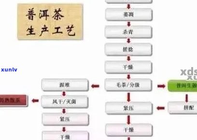 普洱茶：品种、 *** 工艺、功效与泡法全方位解析