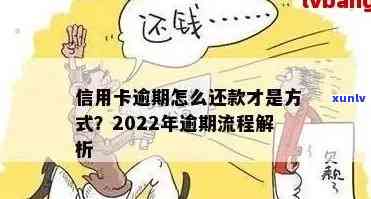 2022年信用卡逾期还款全攻略：逾期流程、后果及解决 *** 一文解析