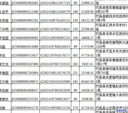 博湖县信用卡逾期人员名单：涉及欠款、还款等相关重要信息