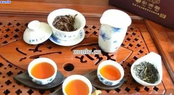 探索普洱茶冲泡次数的更优解，让你品味口感