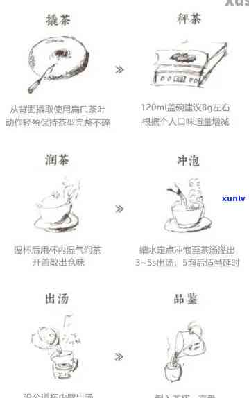 新 探索普洱茶冲泡艺术：冲泡次数及其科学原理