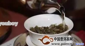 普洱茶冲泡技巧：每克茶叶所需的水量及冲泡次数全解析