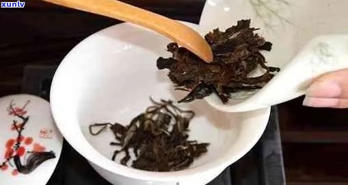 普洱茶冲多少次