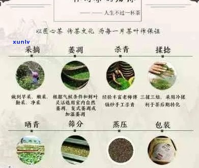 普洱茶价格，茶叶市场，投资价值，品鉴，，产地，种类，功效与作用