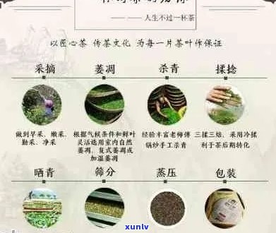 普洱茶价格区间及影响因素全方位解析：如何选择适合自己的普洱茶？