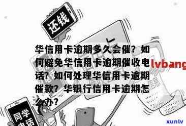 华银行信用卡逾期一天的影响及解决办法，让你全面了解逾期后果及应对措