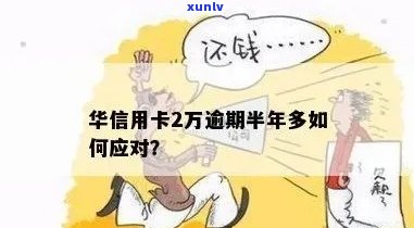 华信用卡逾期怎么处理