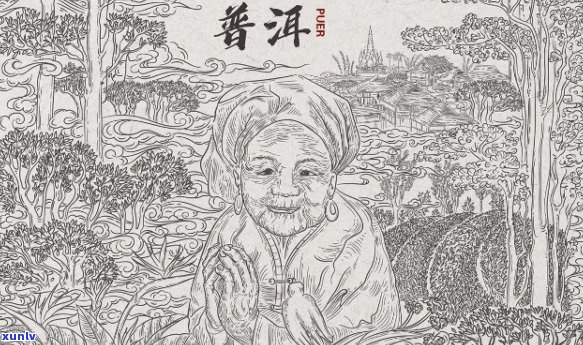 中国普洱茶4k纸画