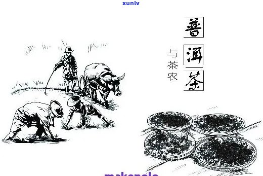 中国普洱茶4k纸画