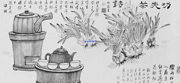 普洱茶画法：简笔画、手绘、国画