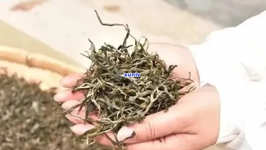 茶农卖茶真的吗？如何辨别真假茶叶？