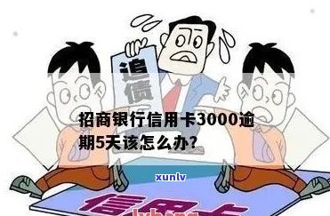 招商学生信用卡逾期