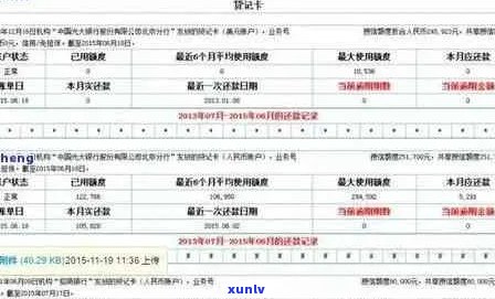 信用卡逾期还款记录查询指南：如何找回丢失的信用报告