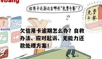 信用卡逾期多久后可能会被起诉？如何应对财产拍卖及可能的法律后果？