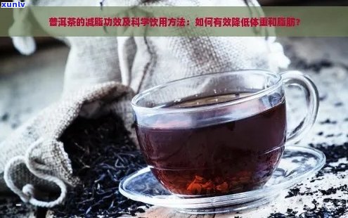 普洱茶减肥：科学饮用方式与新发现