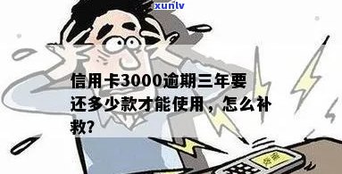 信用卡逾期3000元额度怎么办？如何补救信用损失和解决还款问题？