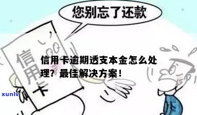 吉安市信用卡透支还款困扰，如何解决逾期问题？