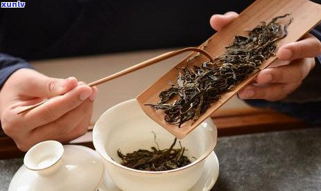 普洱茶的品饮技巧：如何正确饮用普洱茶？