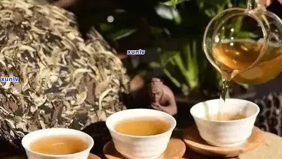 普洱茶的全面功效与适用人群：为何喝普洱茶有益健？