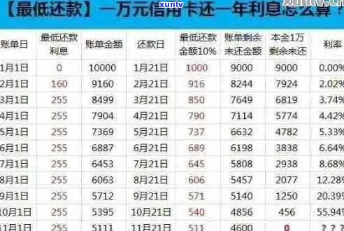 信用卡透支10万未还款，我应该如何妥善处理？