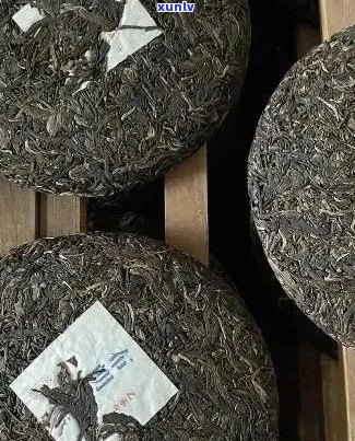 州普洱茶批发与零售：精品茶叶供应，品质保证，价格实，一站式购茶体验