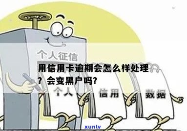 信用卡逾期：是否导致个人信用记录成为黑户？探讨逾期影响的多个层面