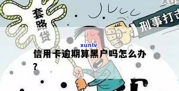 信用卡逾期是不是黑户