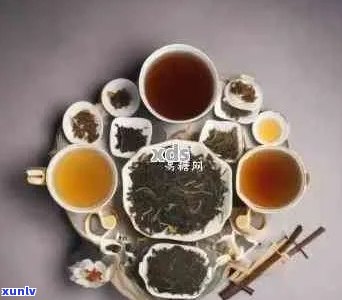 普洱茶爱好者的极指南：哪些人群最适合存普洱茶？