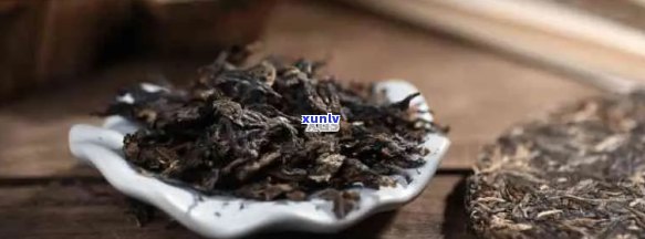 普洱茶爱好者的极指南：哪些人群最适合存普洱茶？